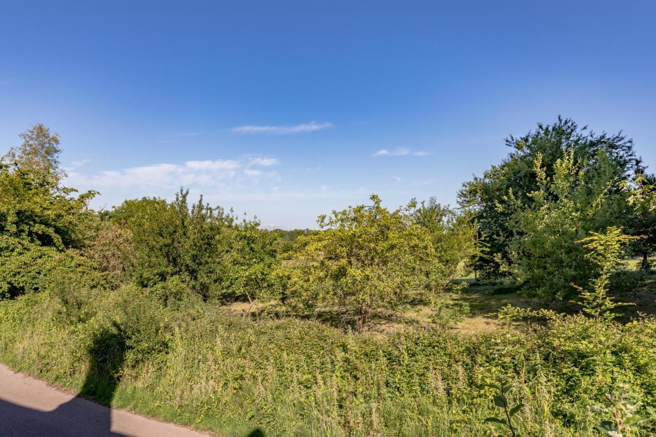 Danny Lodge - Country Cottage Near Brighton By Huluki Sussex Stays Hurstpierpoint Exterior foto